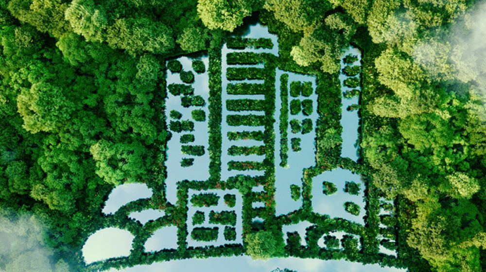 Start your ESG journey without the overwhelm. A step-by-step blueprint built for busy small businesses.